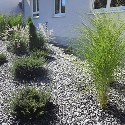 Gartengestaltung Nicole Heinrich