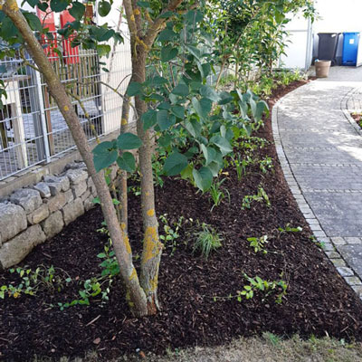Gartengestaltung Nicole Heinrich