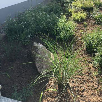 Gartengestaltung Nicole Heinrich