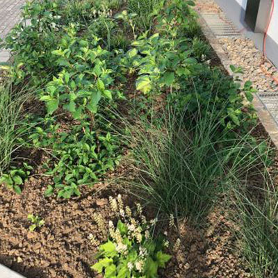 Gartengestaltung Nicole Heinrich