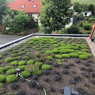 Gartengestaltung Nicole Heinrich