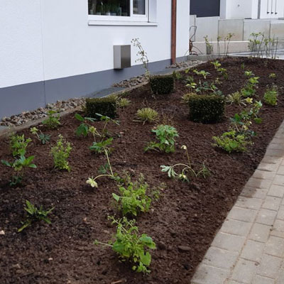Gartengestaltung Nicole Heinrich